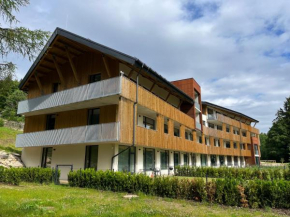 Apartmán na Zadově, Stachy